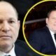 Lily Weinstein: The Real Story of Harvey Weinstein’s First Daughter
